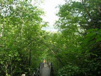 tadoussac 038.jpg